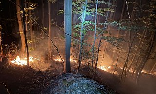 In der Nacht zum Montag war es zu dem Waldbrand gekommen. - Feuerwehr Stat Höxter