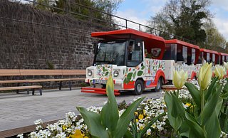 Der Rasende Weserwurm wird gleich in verschiedener Hinsicht kritisiert. Ein Besucher ärgert sich, dass nicht auf den aktuellen Fahrplan hingewiesen wird. Und manch Händler würde sich freuen, wenn die Bimmelbahn auch am Markt hielte. - Nicole Fischer