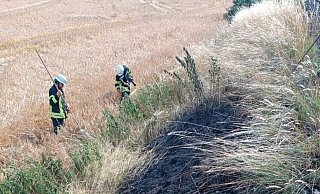 Feuerwehr-Einheiten aus dem Stadtgebiet Brakel waren am Sonntag mit dem Löschen von kleineren Böschungsbränden beschäftigt. - FFW Brakel