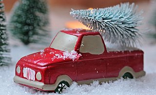 Für den Transport des Weihnachtsbaums müssen einige Regeln beachtet werden, sonst droht ein Bußgeld. (Symbolbild) - Pixabay