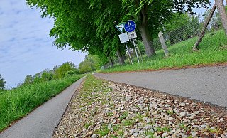 Das Gefahrenpotenzial auf dem Else-Werre-Radweg soll mit einer durchgängigen Asphaltdecke verschwinden. Der Schotterstreifen dient aber Käfern und Amphibien als Querungshilfe. - Peter Heidbrink