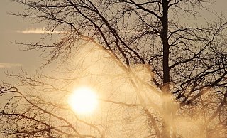 Die Temperaturen sind aktuell zwar niedrig, dafür soll es im Laufe der Woche viel Sonnenschein geben. - Pixabay