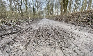 Auch dieser Teil des Radwegs an der Werre in Löhne sorgt immer wieder für Frust bei Radfahrern und Fußgängern. - Dirk Windmöller