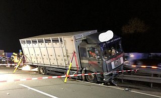 Der Viehtransporter musste nach dem Unfall mit einem Spezialkran geborgen werden. - Autobahnpolizei