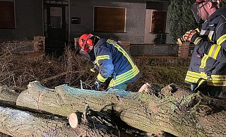Zwei Feuerwehrleute zerteilen in der Nacht einen umgestürzten Baum. Dieses Foto entstand in der ersten Sturmnacht. - Feuerwehr Löhne