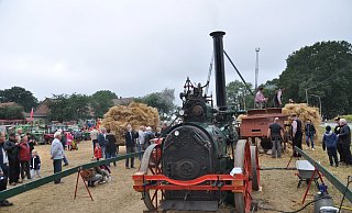 Viele historische Landmaschinen in Aktion werden beim Dreschfest zu bestaunen sein. - Alttraktoren- und Landmaschinenfreunde Dreyen