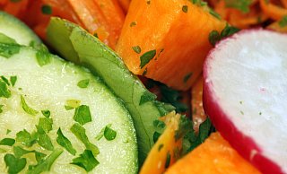 Gesund und lecker essen will gelernt werden: Bei diesem gemischten Salat-Teller mit Radieschen, Karotten und Gurken dürfte das schnell gelingen. - Fredrik von Erichsen