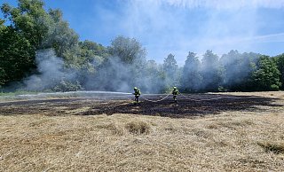 Eine Menge Schlauch war bei dem Einsatz notwendig. - Feuerwehr Herford
