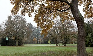 Die Werregärten zwischen Ravensberger und Friedrichs-Gymnasium sollen mit Wegen neu erschlossen werden. - Frank-Michael Kiel-Steinkamp