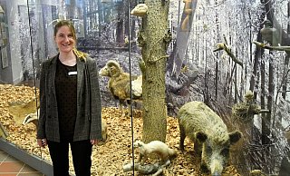 Felicitas Demann ist neue Leiterin des Paderborner Naturkundemuseums. Ausgestopfte Tiere in Glasvitrinen, so wie sie in der jetzigen Dauerausstellung zu sehen sind, sollen nach der Neukonzeption anders präsentiert werden. - Lena Henning