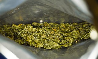 Die beiden Angeklagten sollen in Paderborn kiloweise Marihuana eingelagert haben. - dpa (Themenbild)
