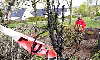 Klaudia Heil am Familiengrab auf dem Friedhof Südlengern. Genau daneben sind die verkohlten Reste von Baum und Büschen. Selbst Polizei-Flatterband hat sie noch gefunden. - Niklas Krämer