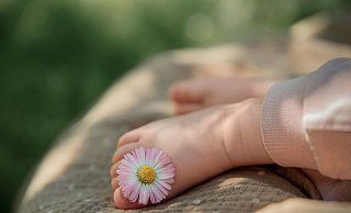 In den vergangenen Tagen sind im Kreis Höxter vier kleine Juli-Jungs zur Welt gekommen. - Pixabay/Irina-Kukuts