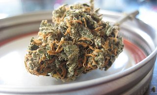 Bislang handelt Four-20-Pharma mit medizinischem Cannabis. Ein Einstieg in den Genuss-Markt wäre vorstellbar. - (Symbolbild) Pixabay