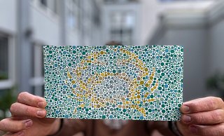 Ein gelb-gepunkteter Krebs auf blauem Grund - so wirbt die Sparkasse Bielefeld aktuell auf Werbepostkarten für den Krebs-Scan einer Versicherung. Was soll das? - Christine Panhorst