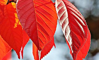 Das Wetter wird etwas freundlicher - und wärmer. - S. Hermann / F. Richter auf Pixabay