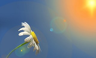 Der Mai beginnt in NRW mit schönem Wetter, das sogar noch besser werden soll. - Pixabay