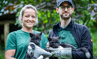 Tierpflegerin Jana Derbogen hält das Mädel im Arm, Tobias Diekmann präsentiert den jungen Rüden. - Sarah Jonek Fotografie