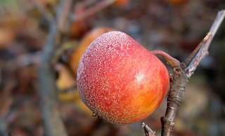 Es wird kälter in Ostwestfalen-Lippe. - Uschi Dugulin/Pixabay