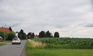 Auf der Ackerfläche östlich des Sieler Wegs soll ein neues Wohnbaugebiet entstehen. - Mareike Patock