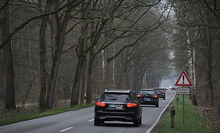 Die Leverner Straße ist die Fortsetzung der L770 auf niedersächsischer Seite und eine wichtige Verbindung zwischen dem Lübbecker Land und dem Osnabrücker Land. Auf dem Abschnitt im Wald gab es schwere Unfälle. - Joern Spreen-Ledebur