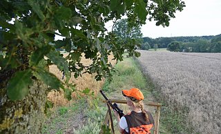 Das Beispielbild zeigt eine Jägerin auf einem Ansitz. - Kaufmann/ DJV