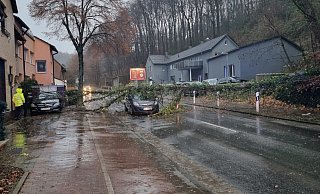Im Kirchsiek, Porta Westfalica-Hausberge, war ein Baum auf ein fahrendes und ein geparktes Auto gestürzt. Weitere Bäume drohten umzustürzen. - Freiwillige Feuerwehr Porta Westfalica