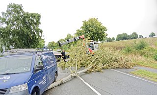 Glück im Unglück hatte der Fahrer dieses Lieferwagens als auf der Bünder Straße direkt vor ihm ein Baum umstürzte. Nach gut eineinhalb Stunden war die Straße wieder befahrbar. - Andreas Sundermeier