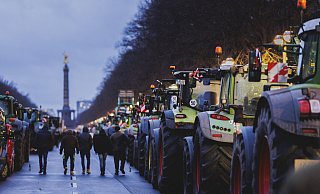 15. Januar 2024 in Berlin: Bauern protestieren unter anderem gegen die Sparpläne der Ampelregierung. Auch aus OWL waren Bauern dabei. - picture alliance / photothek