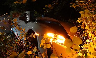 Das Auto wird im Gebüsch aufgefangen. - Paul Brinkmann