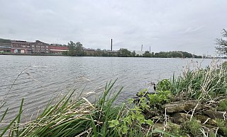 Ungefähr in diesem Bereich gegenüber der Ziegelei fand ein Angler das tote Baby. - Patrick Schwemling