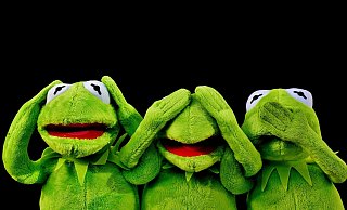 Kermit der Frosch findet die Facebook-Kommentare der NW-Leser ebenfalls witzig. - Symbolbild/Pixabay