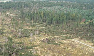Nach Kyrill 2007: Ein Foto aus einem Helikopter bei der Sichtung der Schäden. - Archiv/Jan Preller
