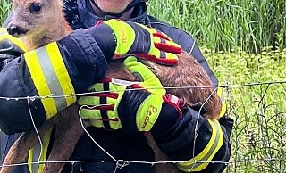 Feuerwehreinsatz an der A2 in Lämershagen. - Feuerwehr Bielefeld