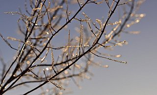 Am Morgen war es frostig im Kreis Herford. - Symbolbild: Pixabay