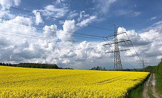 Leuchtende Rapsfelder, Wolkenberge und das intensive Blau des Himmels fügen sich zu einer prächtigen Farbkomposition. - Silke Kröger