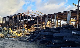 Fast symbolisch wirken die Sonnenstrahlen, die am Montagmorgen durch die zerstörte Halle fallen. "Wir werden wieder aufbauen", so lautet die Devise bei den Mitarbeitern. - Marianne Schwarzer