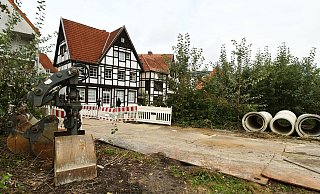 Der Tornado hat viele Bäume im Geisselschen Garten in Paderborn zerstört. In der Zwischenzeit hat sich die Natur einen großen Teil der Flächen zurückerobert. Diese sogenannten Sukzessionsflächen sollen in Teilen erhalten bleiben. - Lena Henning