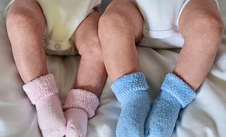 Sechs Säuglinge haben in den vergangenen Wochen das Licht der Welt erblickt. - Patrick Pleul/dpa