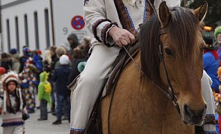Pferde werden weiterhin in Karnevalszügen zu sehen sein. - Pixabay (Symbolfoto)