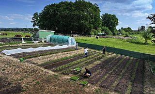 Der Gemüsegarten ist aktuell noch 500 Quadratmeter groß und soll auf das Vierfache wachsen. Hier sind Hofchefin Sandra Kreft (Mitte), ihre Tochter Lilli Kreft (vorn), Leandra Wiemann (rechts hinten) und Kira Hanna dabei, das Gemüse zu pflegen und neue Pflanzen zu setzen. Fotos: Gerald Dunkel - Gerald Dunkel