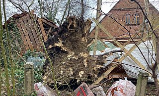 An der Sonntagstraße in Oetinghausen krachte der Baum und fiel knapp am Haus vorbei. - Yvonne Gottschlich