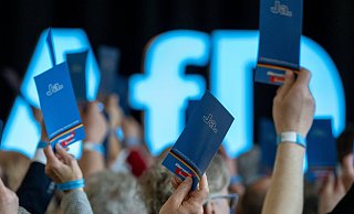 Die AfD kommt in aktuellen Umfragen auf mehr als 20 Prozent. Das wirft umso mehr die Frage nach dem Umgang mit ihr auf. - Hendrik Schmidt