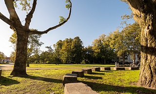 Im Riemekepark werden Arbeiten im Bereich zwischen Kolk und Kinderspielplatz durchgeführt. - (Archivbild) Lena Henning