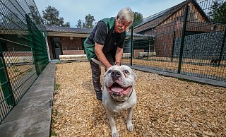 Robert heißt der American Bulldog, den der wiedergewählte Vorsitzende des Bielefelder Tierschutzvereins, Helmut Tiekötter, hier knuddelt. Der Hund ist längst vermittelt. Doch viele andere Tiere warten im Tierheim noch auf ein neues Zuhause. - Susanne Lahr