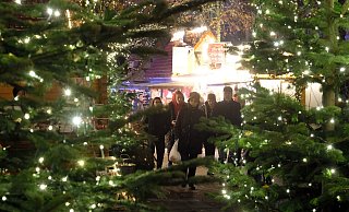 Stadt und Staatsbad halten den Weihnachtsmarkt gerade in Krisenzeiten für unverzichtbar. Dennoch will man bei der Veranstaltung Energie sparen. - Thorsten Gödecker