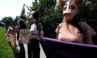 Vor allem im Sommer 2020 wurde vor dem Betriebsgelände von Tönnies immer wieder demonstriert. - Archiv/Andreas Frücht