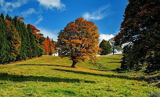 Der Herbst hält Einzug in Deutschland - doch vorher grüßt der Sommer noch kurz. - Pixabay / Couleur