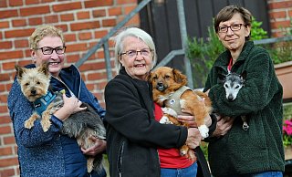 Annette Elges (mit Brandy, v. l.), Ulla Müller (mit Vermittlungshündin Dony) und Birgit Winkelmann (mit Hundeopa Willy) haben langjährige Erfahrung im Tierschutz. - Barbara Franke