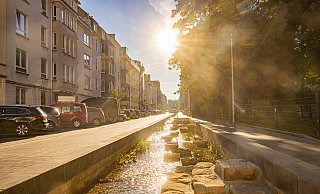 Die offengelegte Lutter ist wohl zur beliebtesten Wasser-Oase in Bielefeld geworden. Doch die Stadt hat viel mehr idyllische Orte für die Abkühlung zu bieten. - Mike-Dennis MŸller / www.mdm.photo